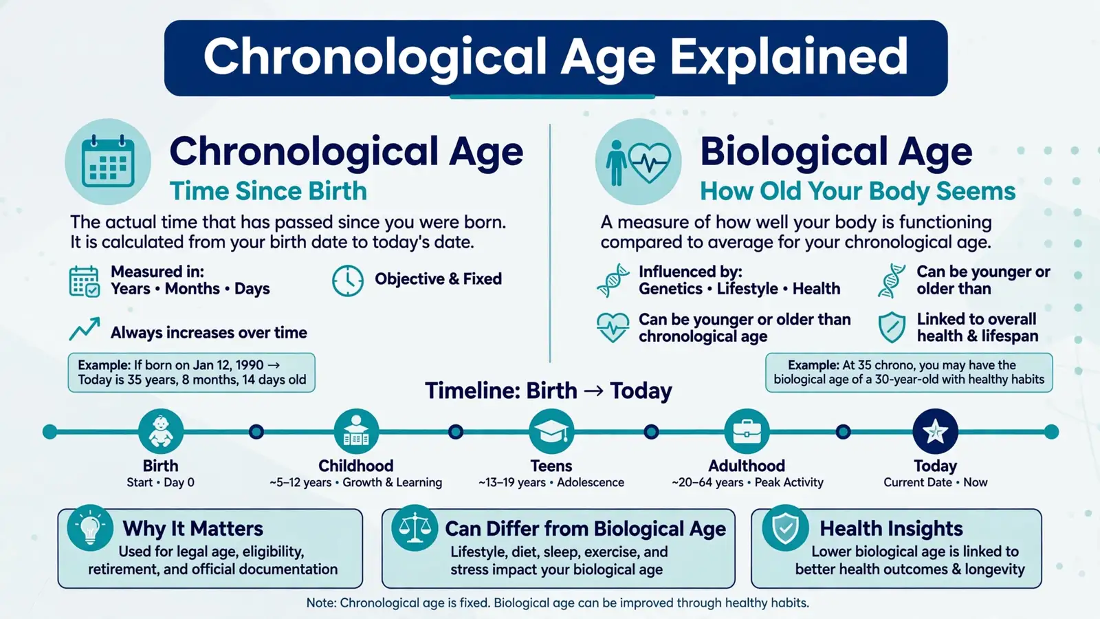 Chronological age explained comparing chronological vs biological age