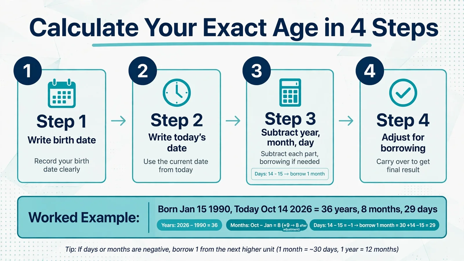 Age calculator showing years, months, days and total days lived statistics