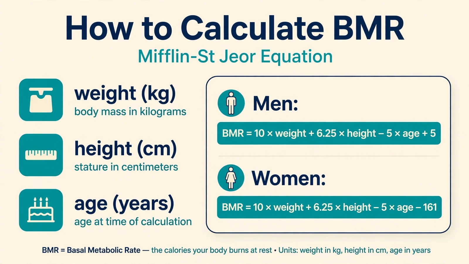 How to Calculate BMR showing the Mifflin-St Jeor equation for men (10 x weight + 6.25 x height - 5 x age + 5) and women (same with -161), with labeled variable icons for weight in kg, height in cm, and age in years
