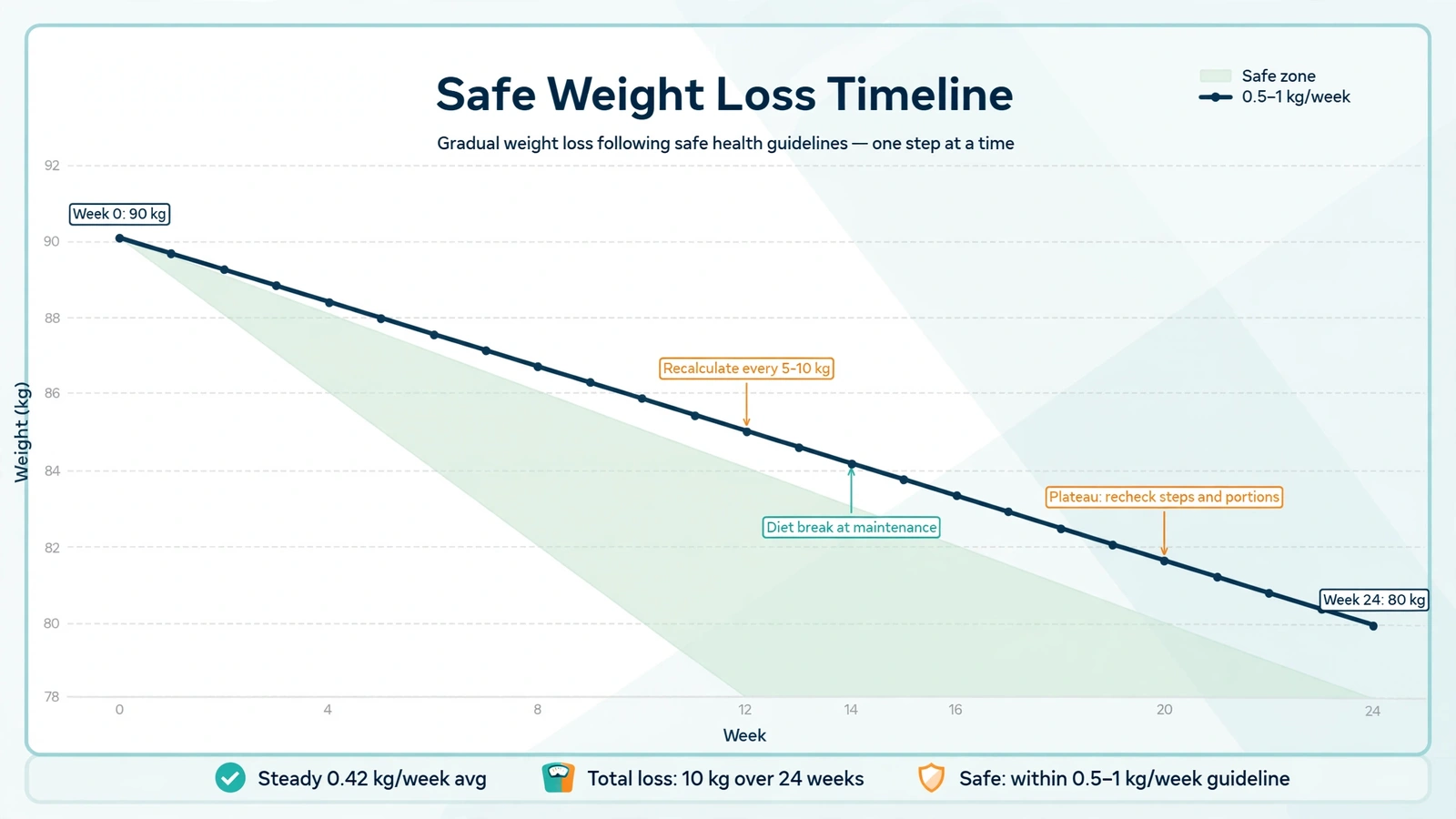 Safe weight loss timeline chart: 24-week plan losing 10 kg at a steady pace within the 0.5 to 1 kg per week guideline