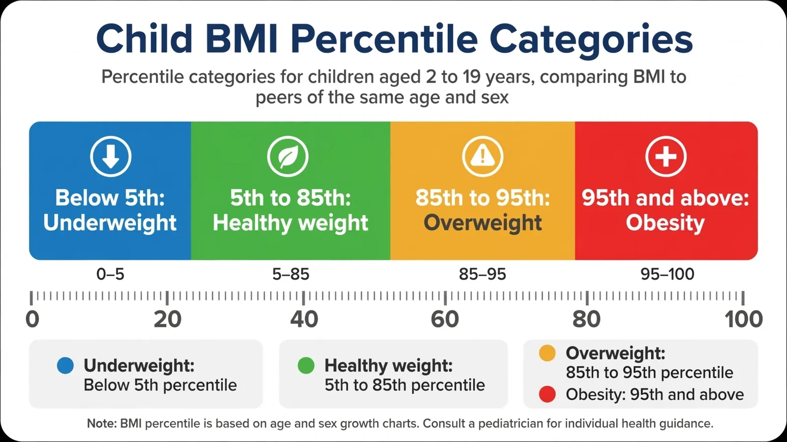 Child BMI percentile categories chart from underweight below the 5th to obesity at the 95th and above