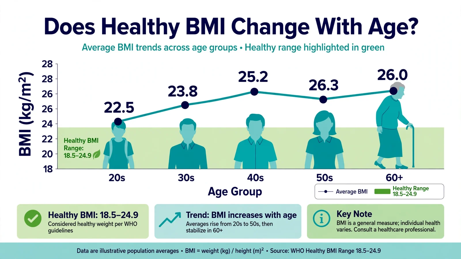 Does healthy BMI change with age showing BMI trends across age groups chart