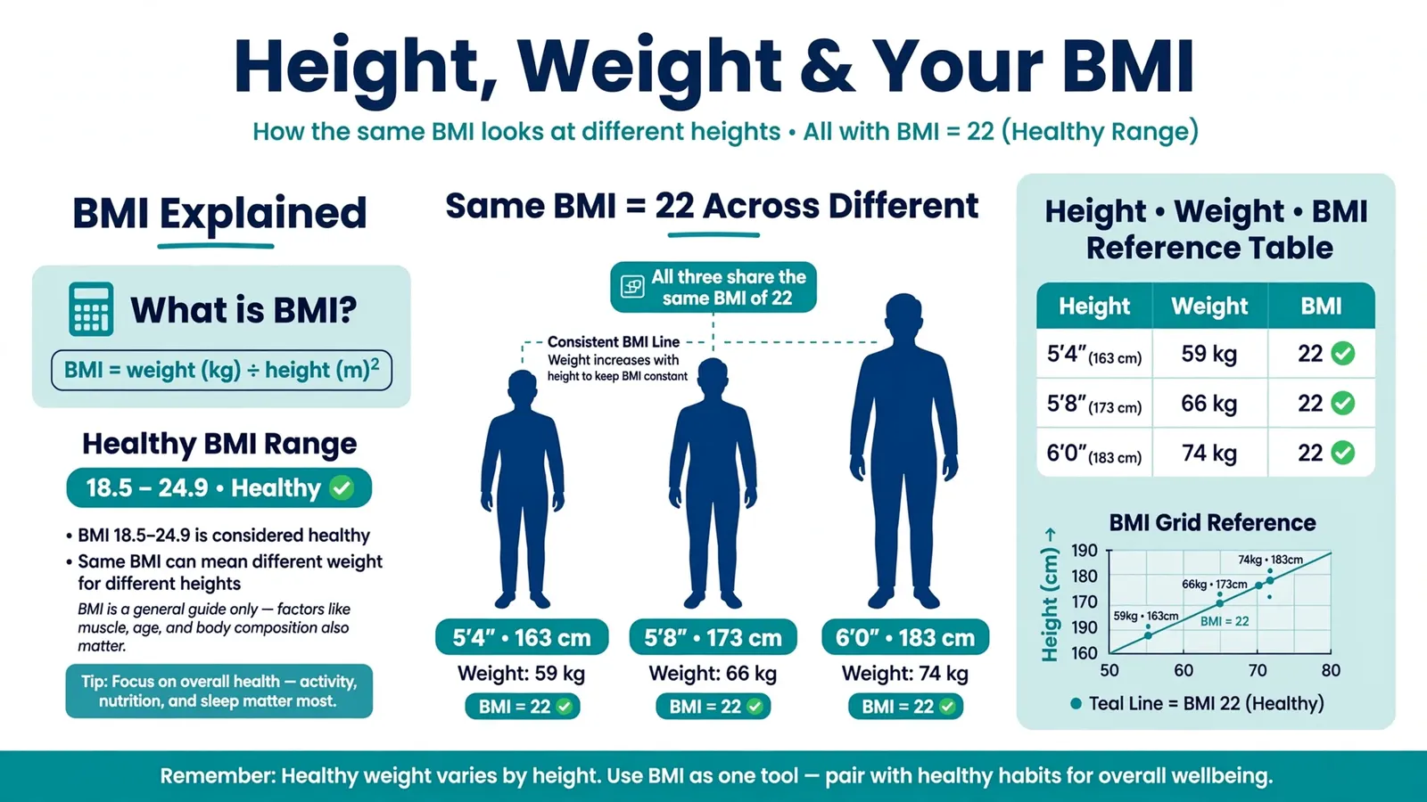 Height weight and BMI relationship showing how BMI varies by height