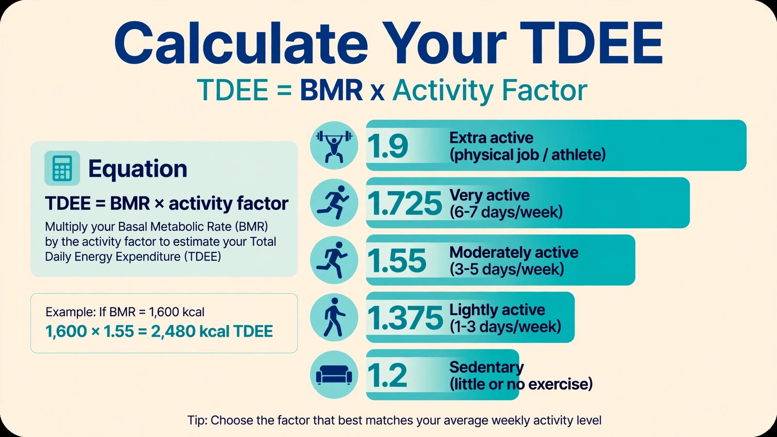 calculate your TDEE - TDEE equals BMR times activity factor, with the 5 activity multipliers from 1.2 sedentary to 1.9 extra active