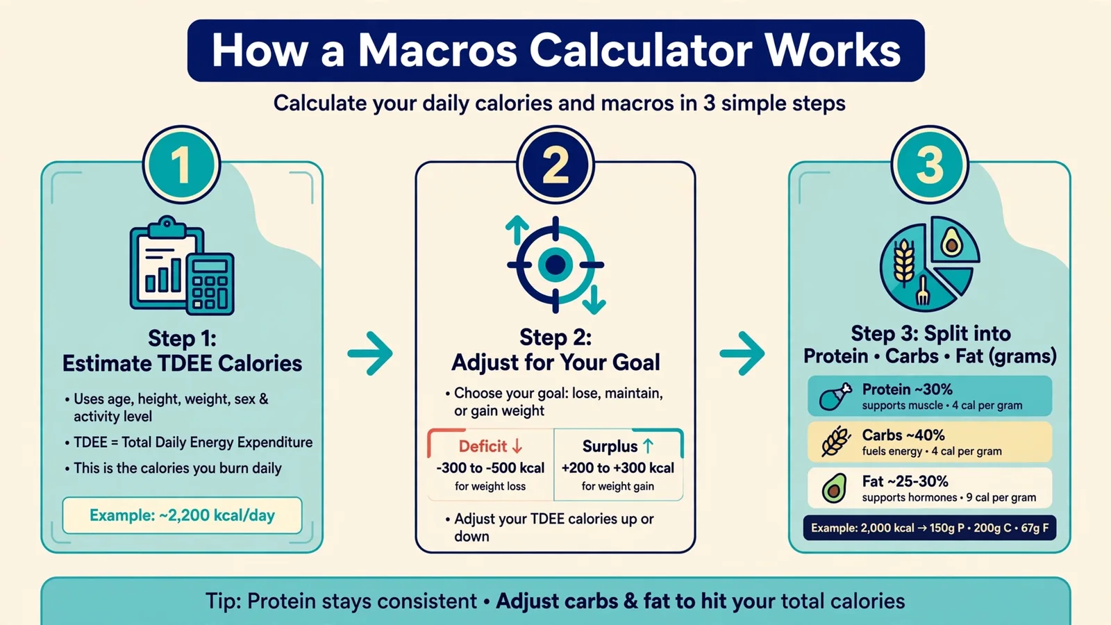 How a macros calculator works in three steps
