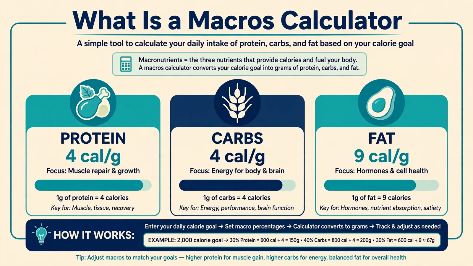 What is a macros calculator showing protein carbs fat breakdown