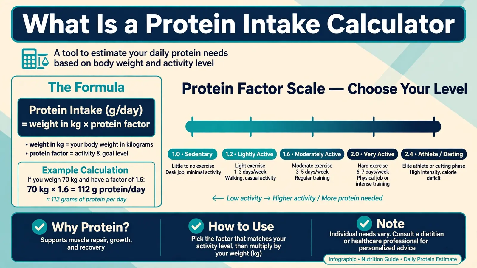 What is a protein intake calculator and how it works